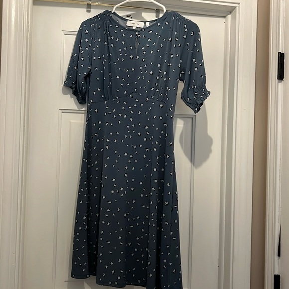 Lark & Ro Dresses & Skirts - Womens lark and ro keyhole top a-line blue animal print dress size 4